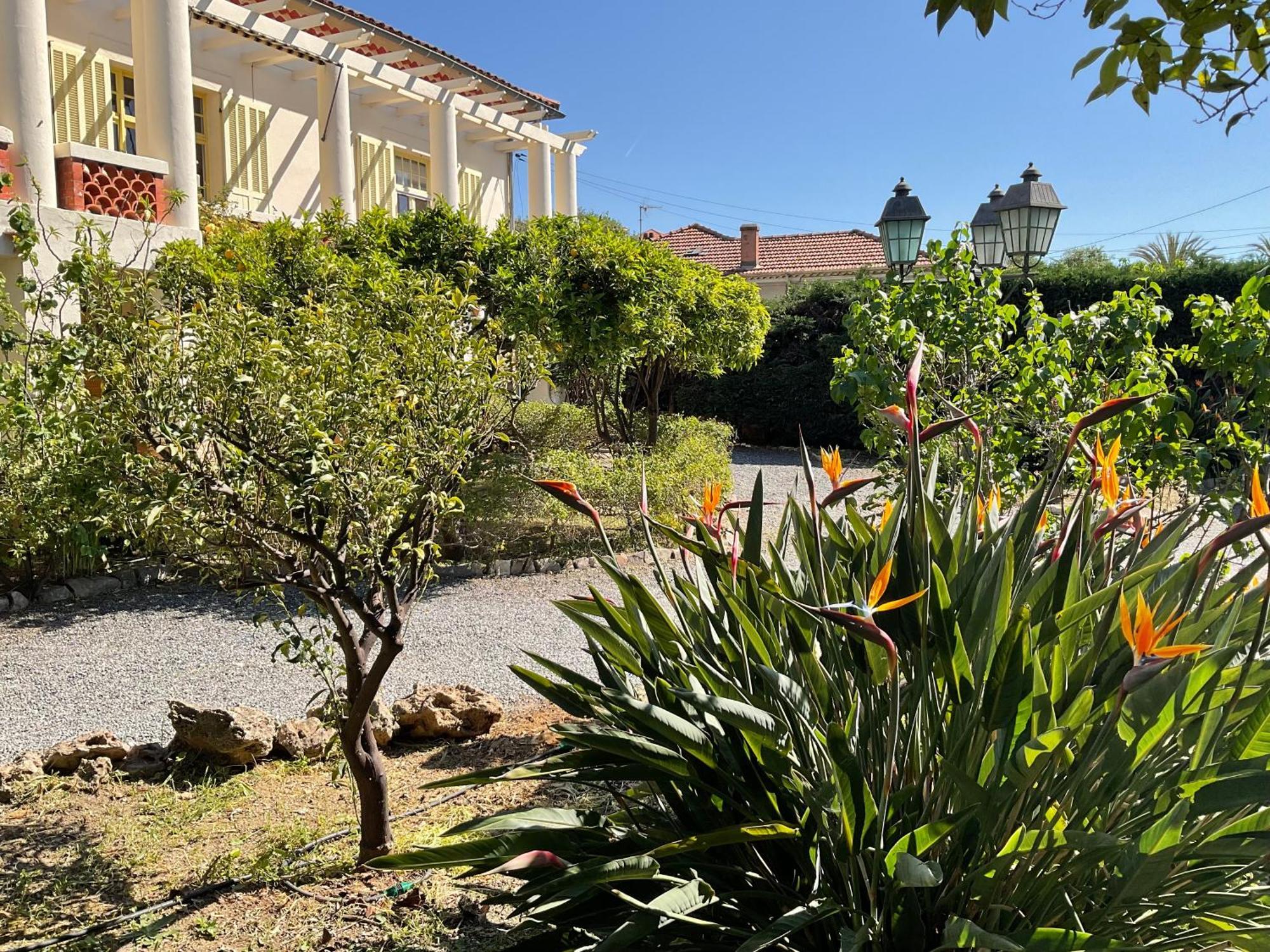 Villa La Provence Hyeres Ngoại thất bức ảnh