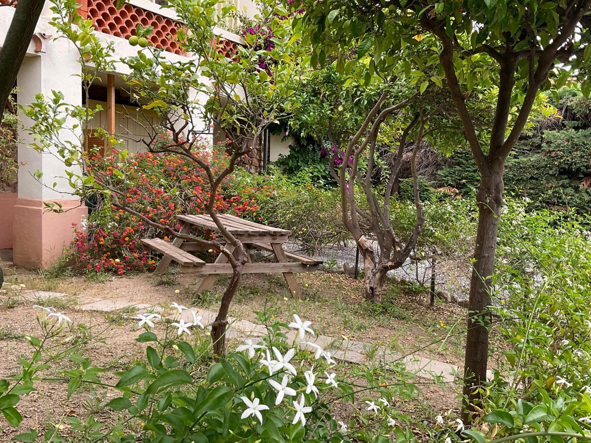 Villa La Provence Hyeres Ngoại thất bức ảnh