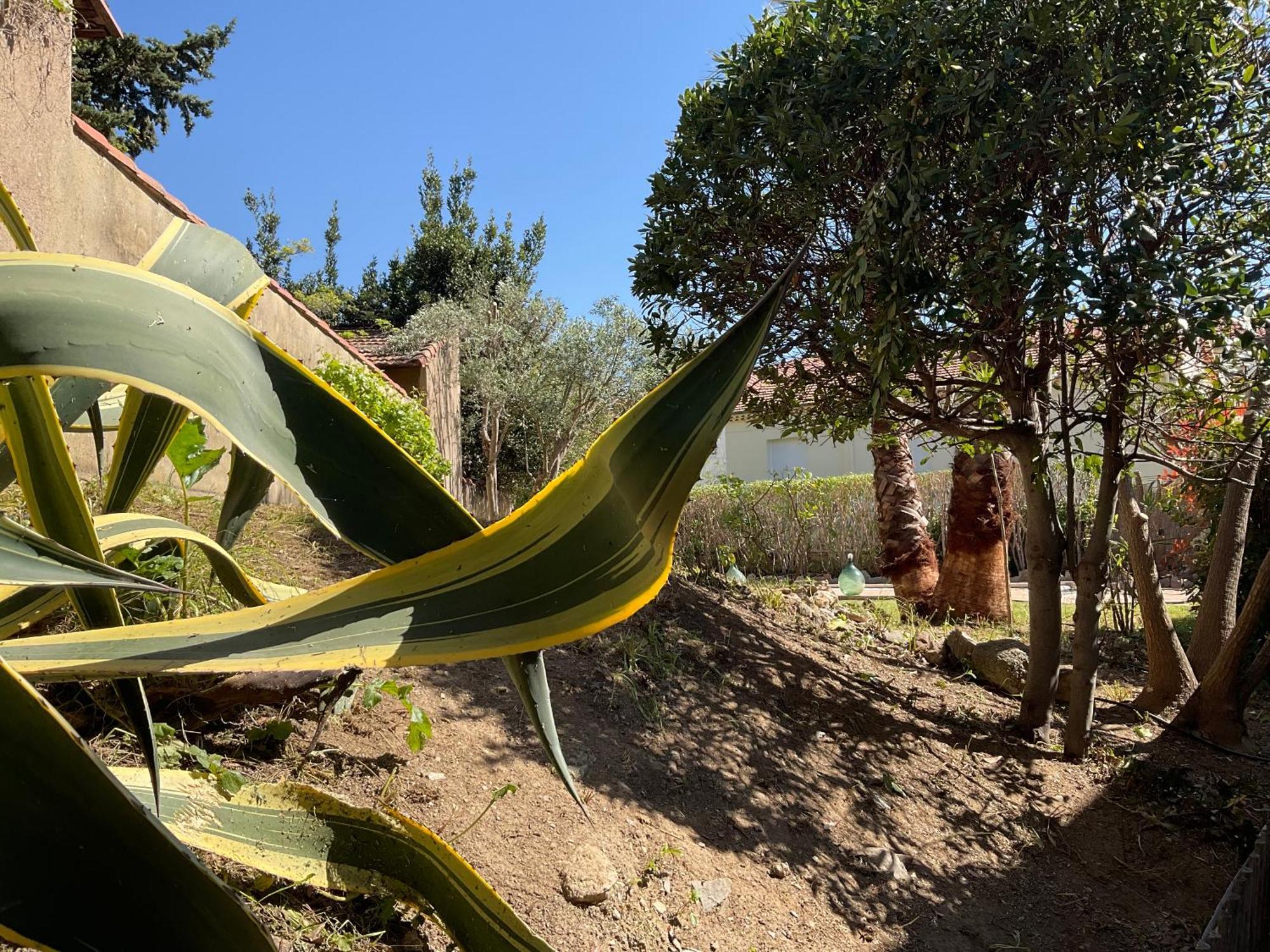 Villa La Provence Hyeres Ngoại thất bức ảnh