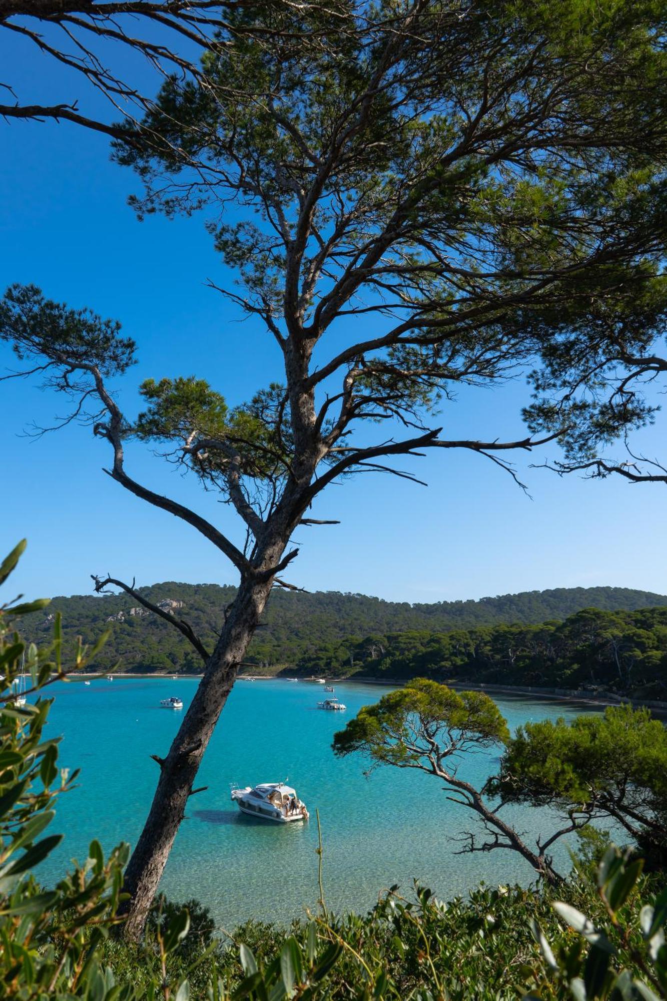 Villa La Provence Hyeres Ngoại thất bức ảnh