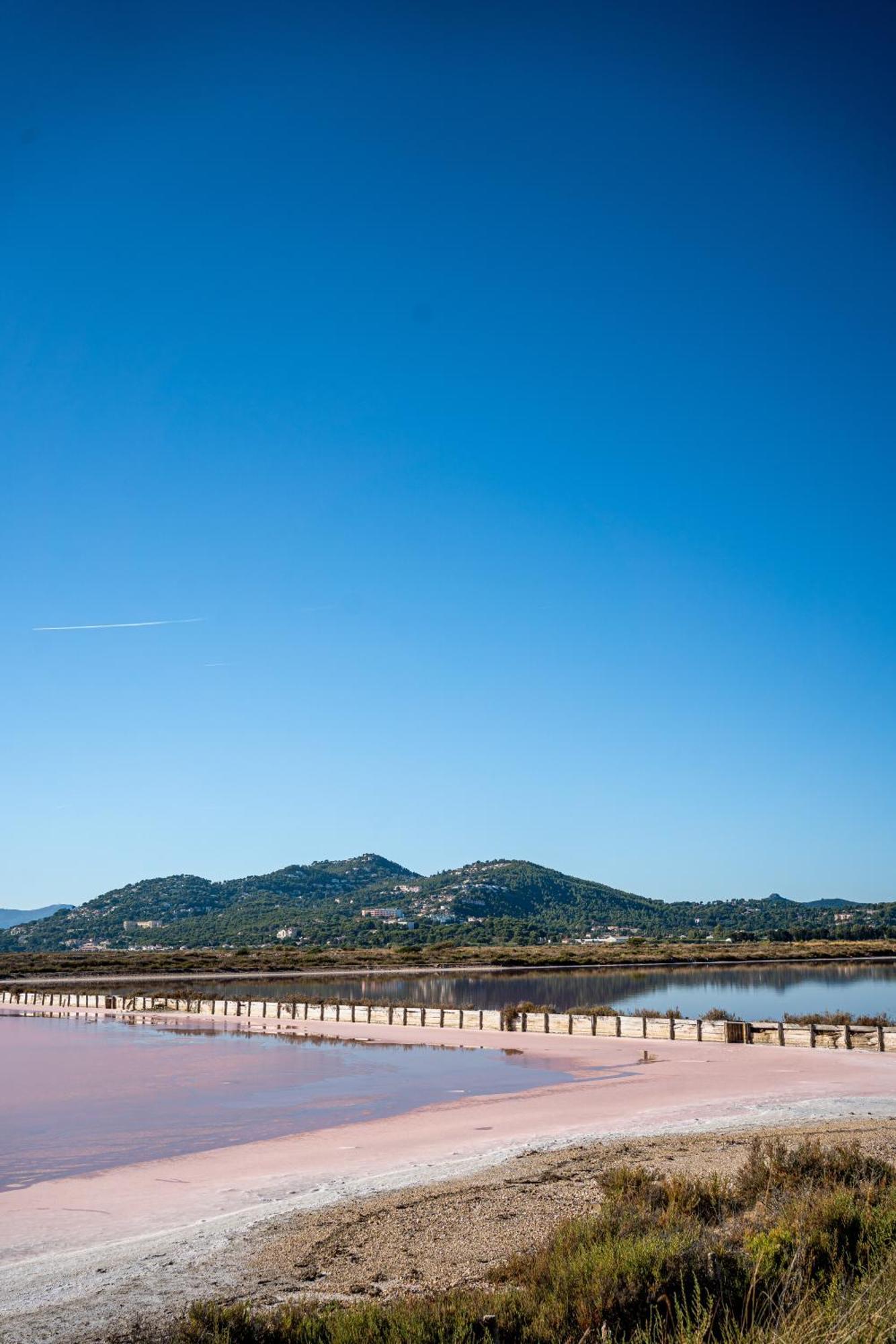 Villa La Provence Hyeres Ngoại thất bức ảnh